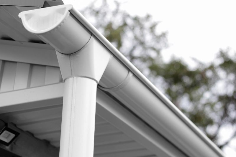 Roof and Gutter Maintenance